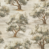 Olive grove wallpaper with neutral tones by York Wallcoverings, displaying a watercolor effect.