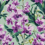 Floral Tropica wallpaper with orchids and green leaves on a muted green backdrop.