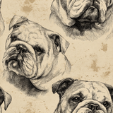 Earnest English Bulldog Wallpaper