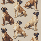 Patterned Kingdom of Sol Wallpaper with repeated bullmastiff dog motifs across a textured surface.

