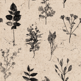 Botanical wallpaper with a sketched pattern of assorted herbs and plants.