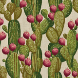 Nopal Rhapsody Wallpaper with cactus and fruit pattern on textured background.