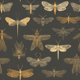 Gilded Entomology Wallpaper