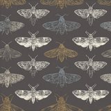 Moth print wallpaper with blue, gold and white ink patterns on a dark grey background.
