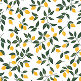 Limoncello Arbor Wallpaper