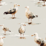 Seagull-patterned wallpaper with painted texture.