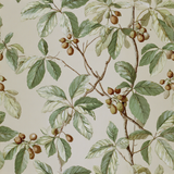 Botanical wallpaper with green and white leaves by Buckeye Grove, featuring brown berries on beige background.
