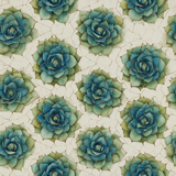 Succulent Geometry Wallpaper featuring blue and green succulents, with a cracked texture background.
