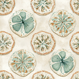 Sea Relics Wallpaper