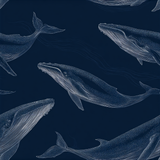 Navy blue wallpaper with whales by Pelagic Lineage featuring white line art and marine pattern.