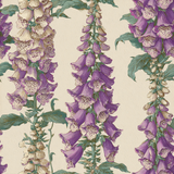 Patterned wallpaper featuring foxfire choir plants, with purple and white flowers, against a cream background.

