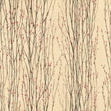 Ocotillo Whispers Wallpaper