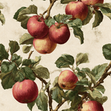 August Bough Wallpaper