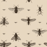 Beige Entomologist’s Archivum Wallpaper with insect pattern and neutral background.