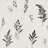 Ashen ferns wallpaper with botanical print on linen textured background.
